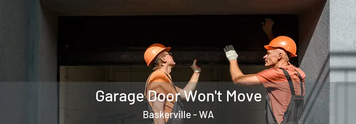  Garage Door Won't Move Baskerville - WA
