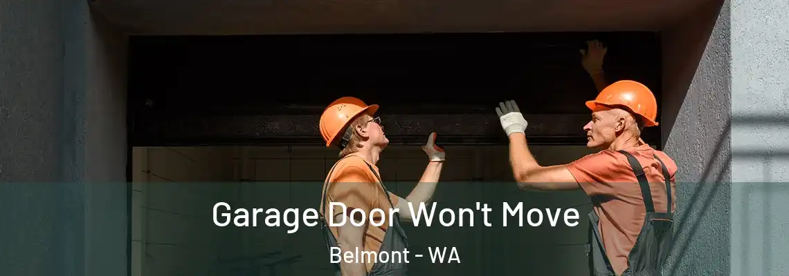 Garage Door Won't Move Belmont - WA