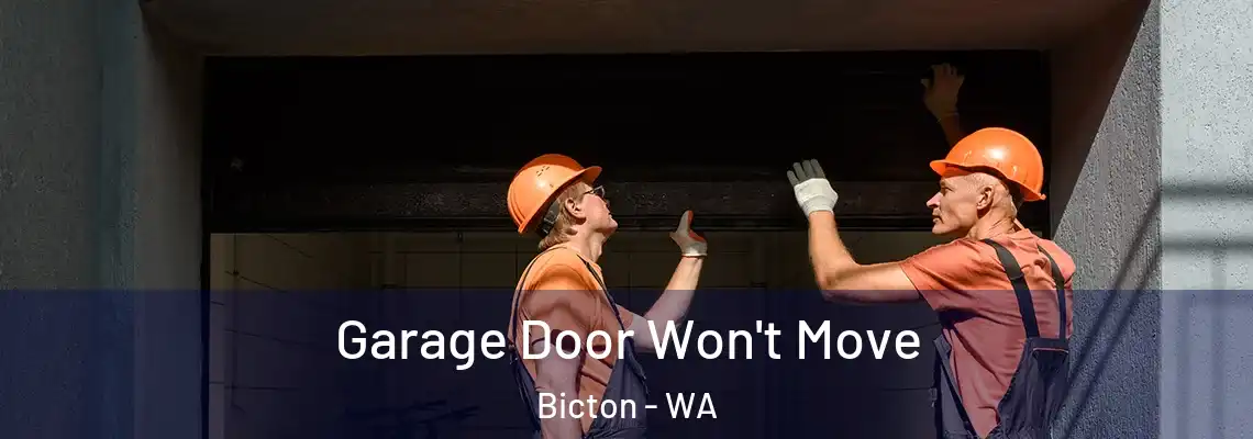  Garage Door Won't Move Bicton - WA