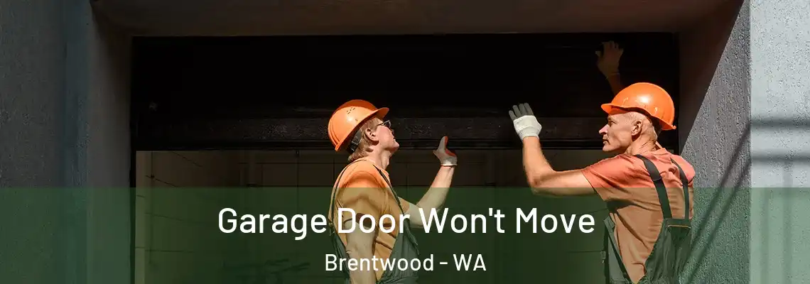  Garage Door Won't Move Brentwood - WA