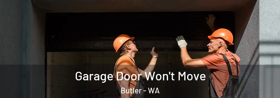  Garage Door Won't Move Butler - WA