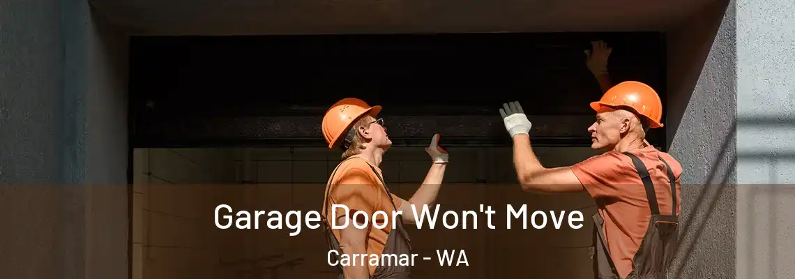  Garage Door Won't Move Carramar - WA