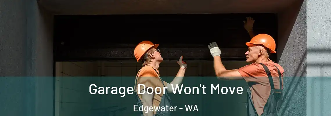  Garage Door Won't Move Edgewater - WA