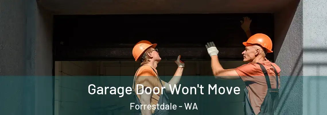  Garage Door Won't Move Forrestdale - WA
