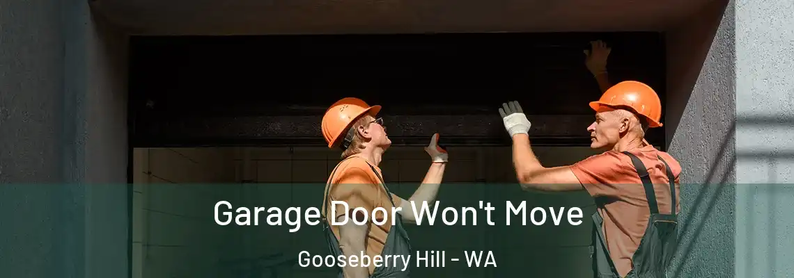 Garage Door Won't Move Gooseberry Hill - WA