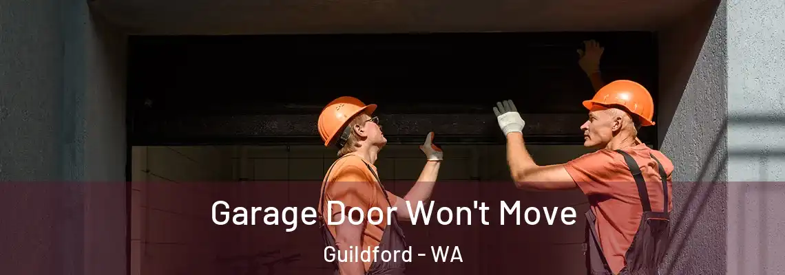  Garage Door Won't Move Guildford - WA
