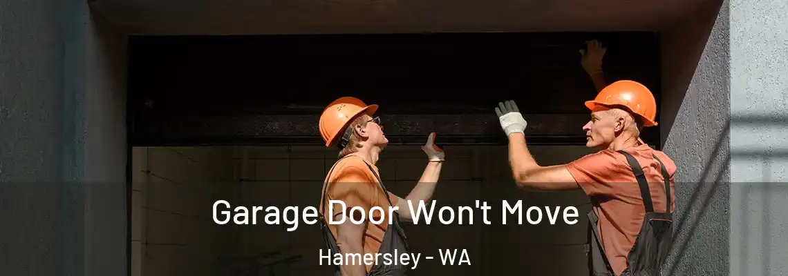  Garage Door Won't Move Hamersley - WA