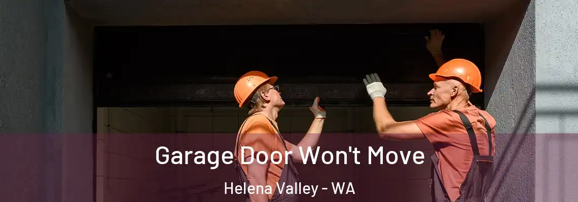  Garage Door Won't Move Helena Valley - WA