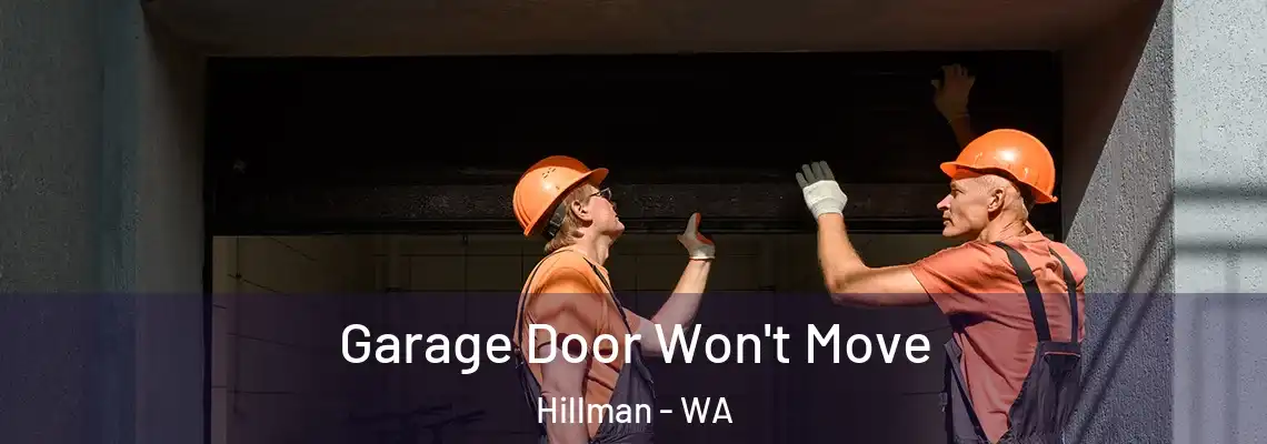  Garage Door Won't Move Hillman - WA