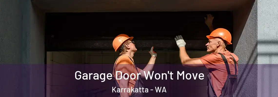  Garage Door Won't Move Karrakatta - WA