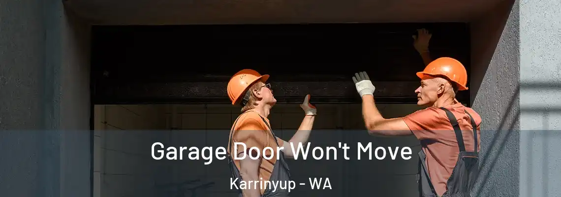  Garage Door Won't Move Karrinyup - WA