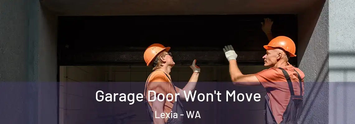  Garage Door Won't Move Lexia - WA