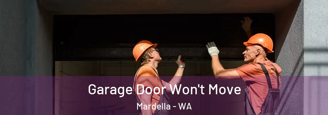  Garage Door Won't Move Mardella - WA