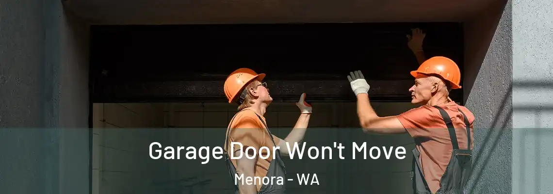  Garage Door Won't Move Menora - WA