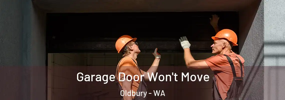  Garage Door Won't Move Oldbury - WA