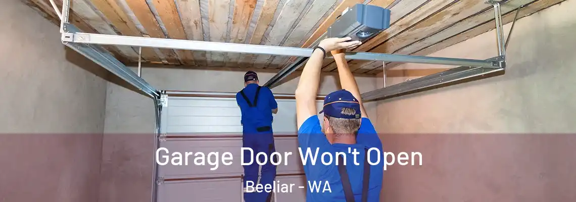  Garage Door Won't Open Beeliar - WA