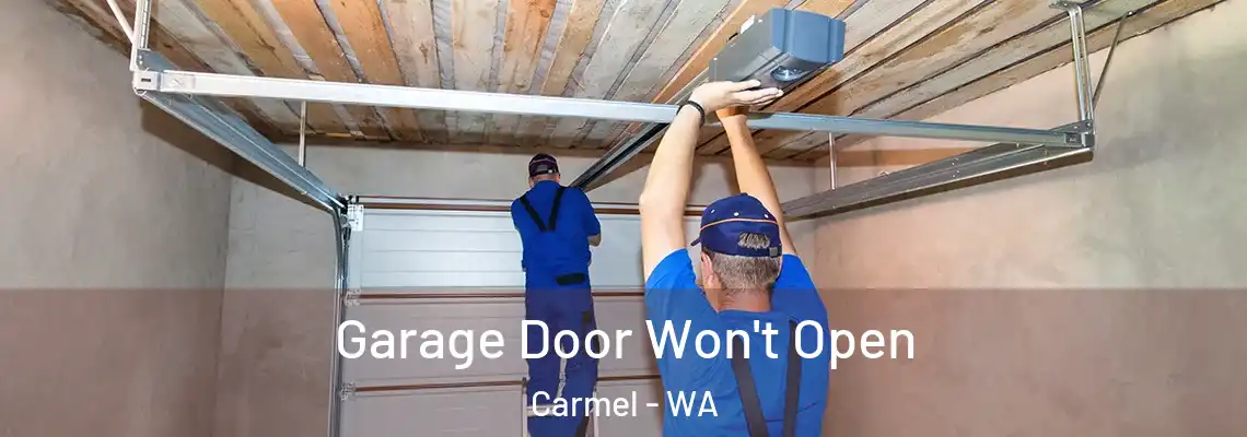  Garage Door Won't Open Carmel - WA