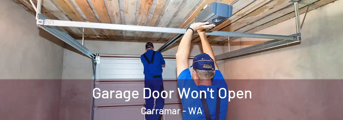  Garage Door Won't Open Carramar - WA