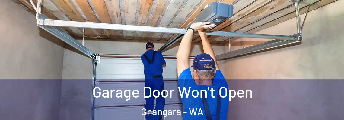  Garage Door Won't Open Gnangara - WA