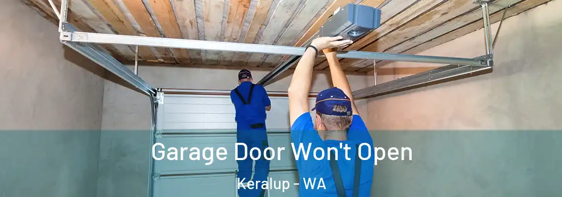  Garage Door Won't Open Keralup - WA