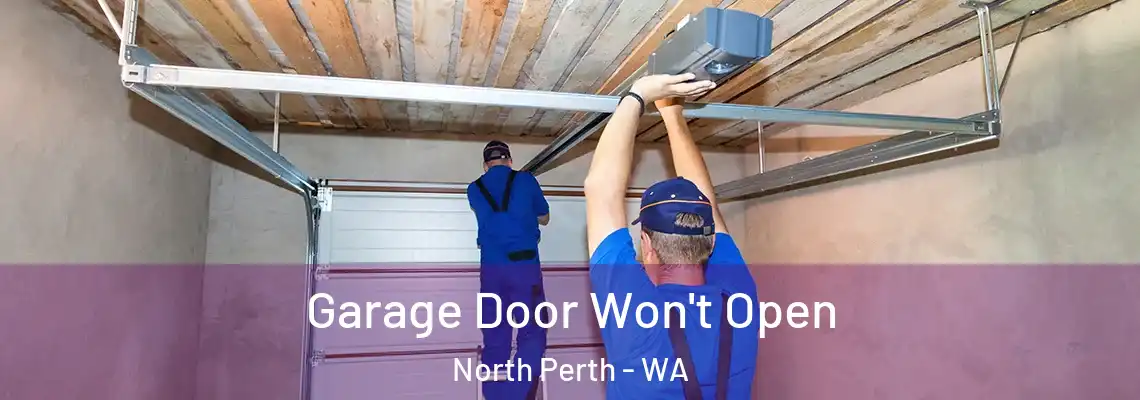  Garage Door Won't Open North Perth - WA