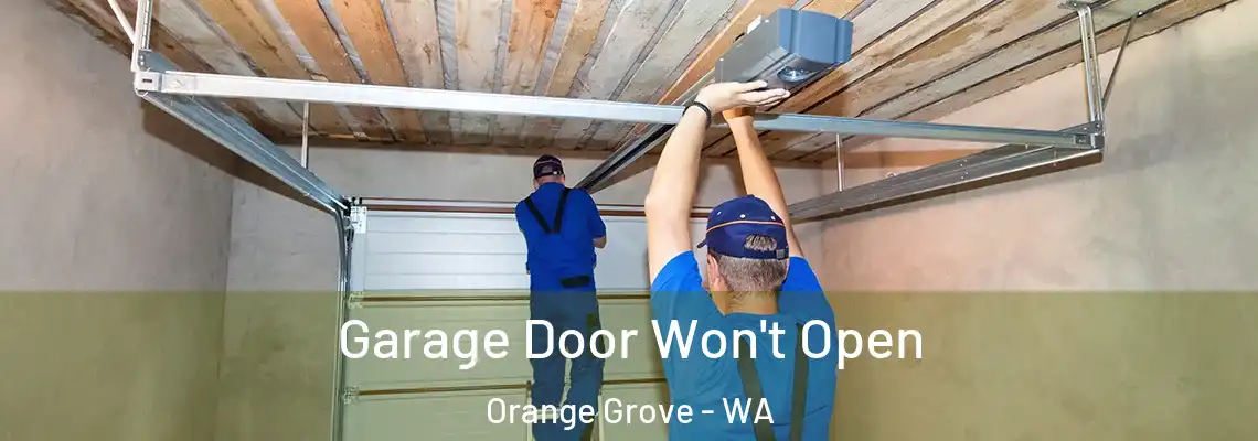  Garage Door Won't Open Orange Grove - WA