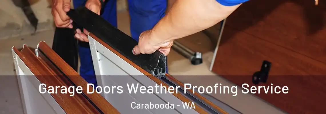  Garage Doors Weather Proofing Service Carabooda - WA
