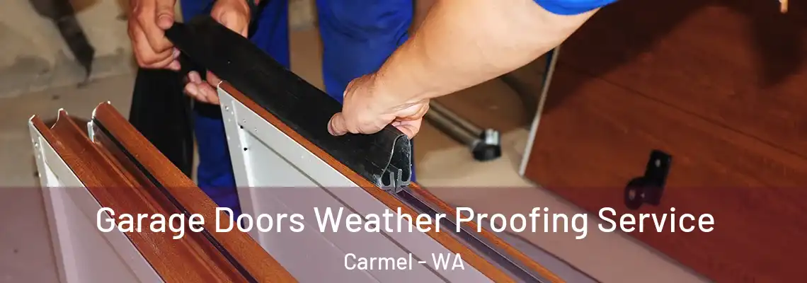  Garage Doors Weather Proofing Service Carmel - WA