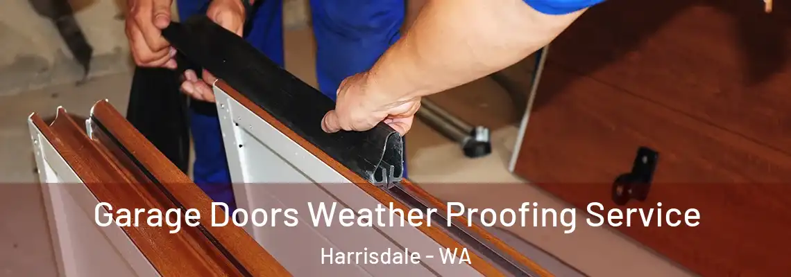  Garage Doors Weather Proofing Service Harrisdale - WA