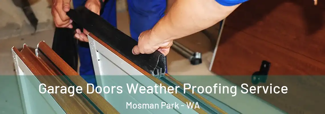 Garage Doors Weather Proofing Service Mosman Park - WA