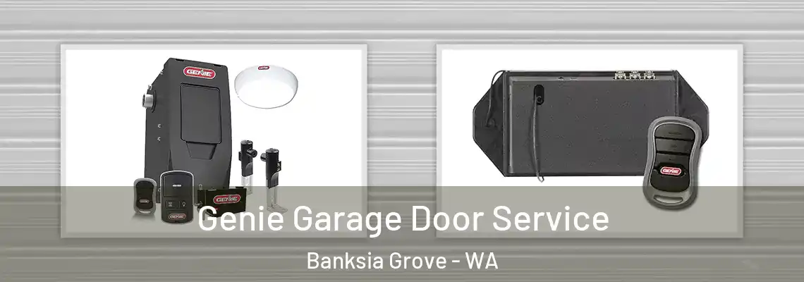  Genie Garage Door Service Banksia Grove - WA