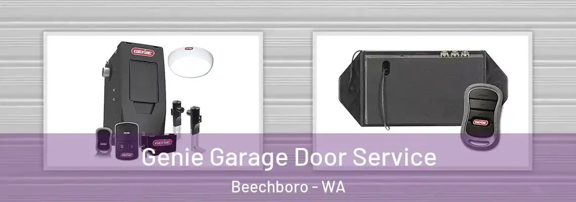 Genie Garage Door Service Beechboro - WA