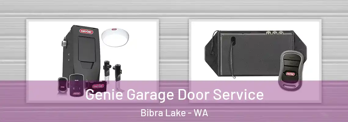  Genie Garage Door Service Bibra Lake - WA