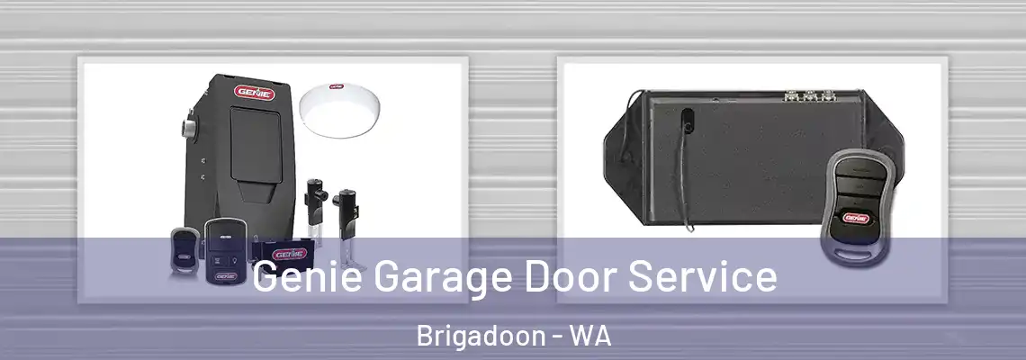  Genie Garage Door Service Brigadoon - WA