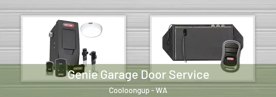  Genie Garage Door Service Cooloongup - WA