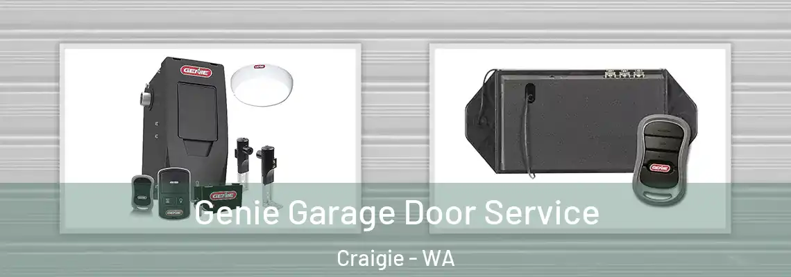  Genie Garage Door Service Craigie - WA