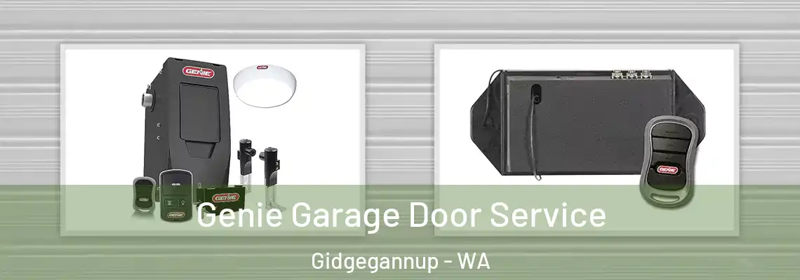  Genie Garage Door Service Gidgegannup - WA