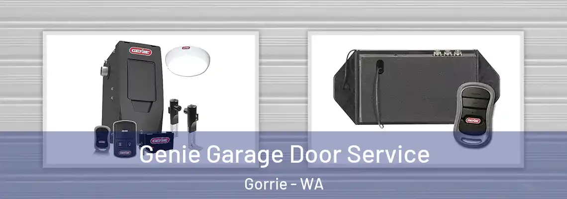  Genie Garage Door Service Gorrie - WA