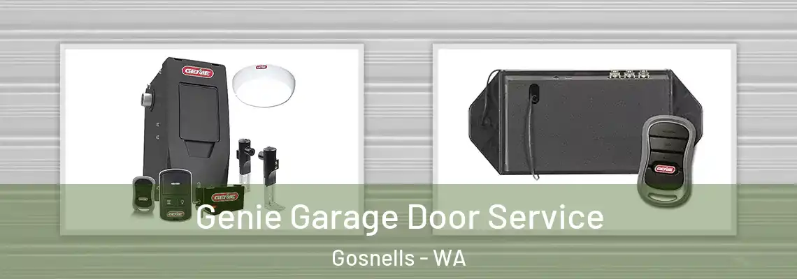 Genie Garage Door Service Gosnells - WA