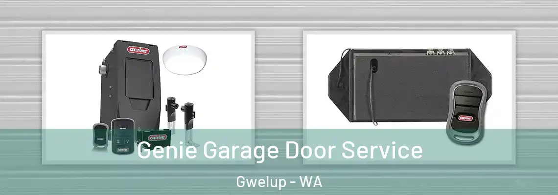  Genie Garage Door Service Gwelup - WA