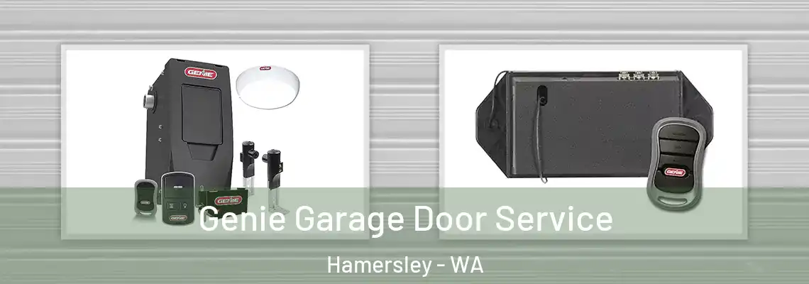  Genie Garage Door Service Hamersley - WA
