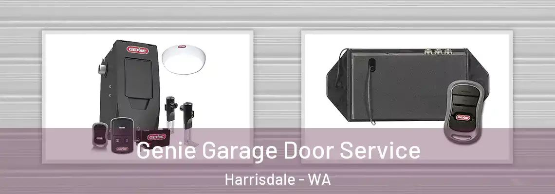  Genie Garage Door Service Harrisdale - WA