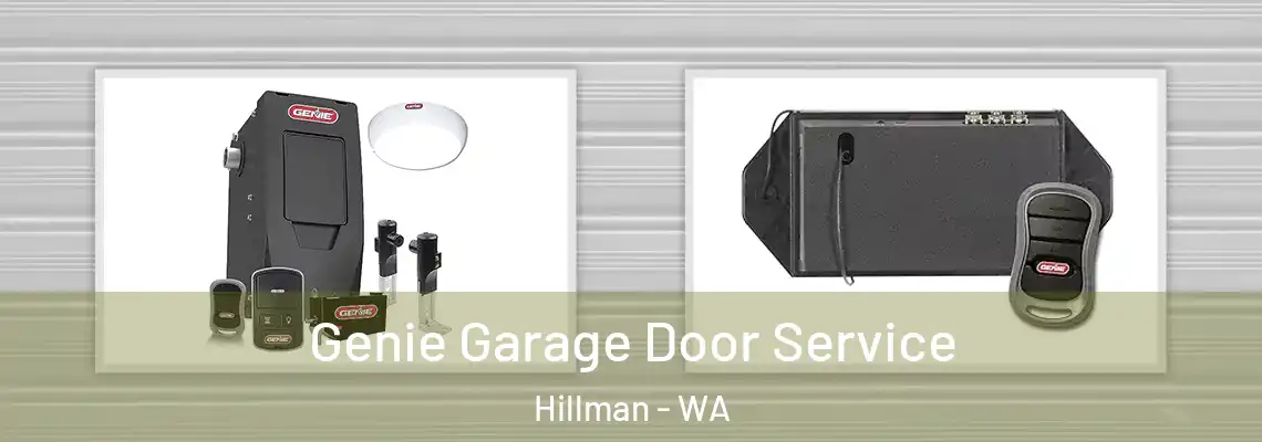  Genie Garage Door Service Hillman - WA