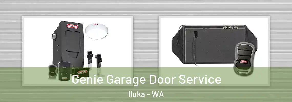  Genie Garage Door Service Iluka - WA