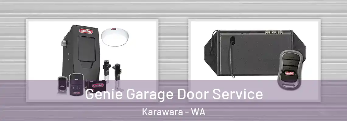  Genie Garage Door Service Karawara - WA