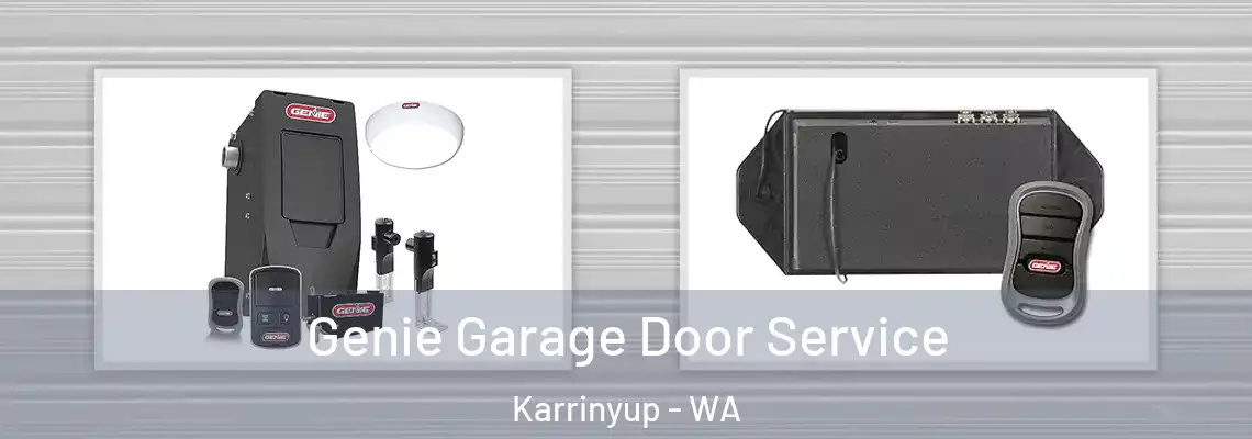  Genie Garage Door Service Karrinyup - WA