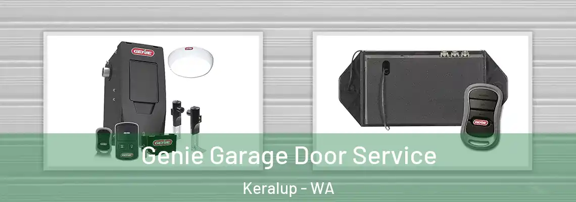  Genie Garage Door Service Keralup - WA