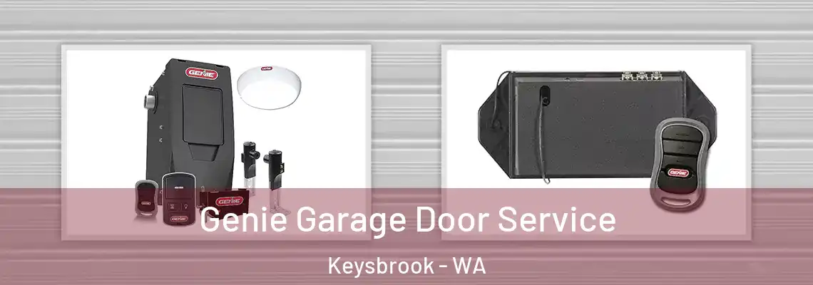  Genie Garage Door Service Keysbrook - WA