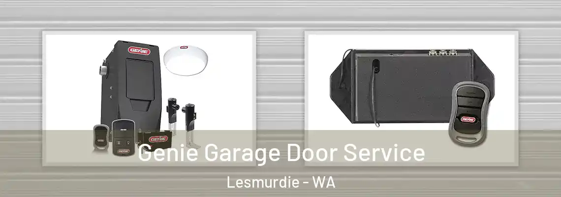  Genie Garage Door Service Lesmurdie - WA