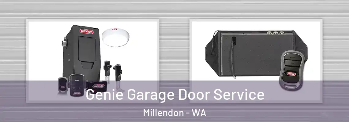  Genie Garage Door Service Millendon - WA